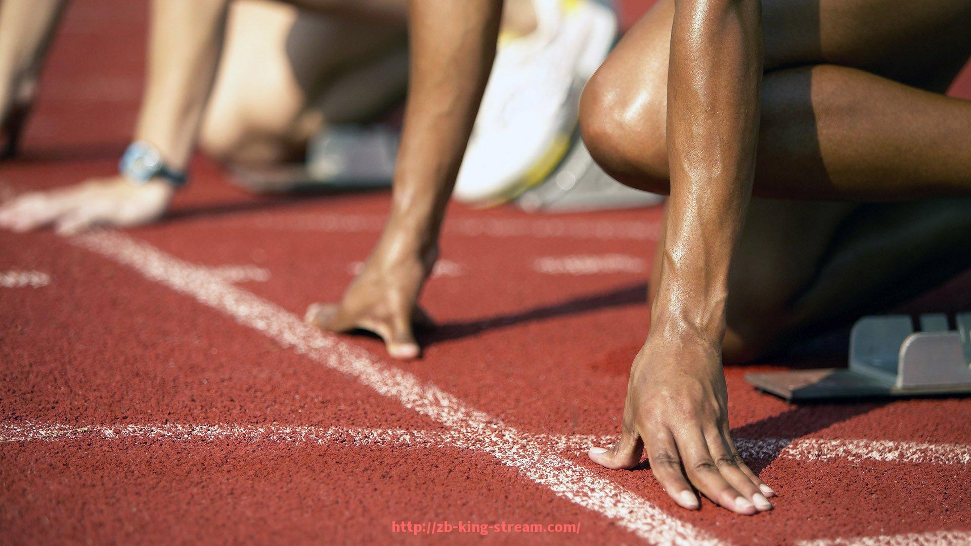 王者体育直播-购买体育健身器材的完整方案及注意事项