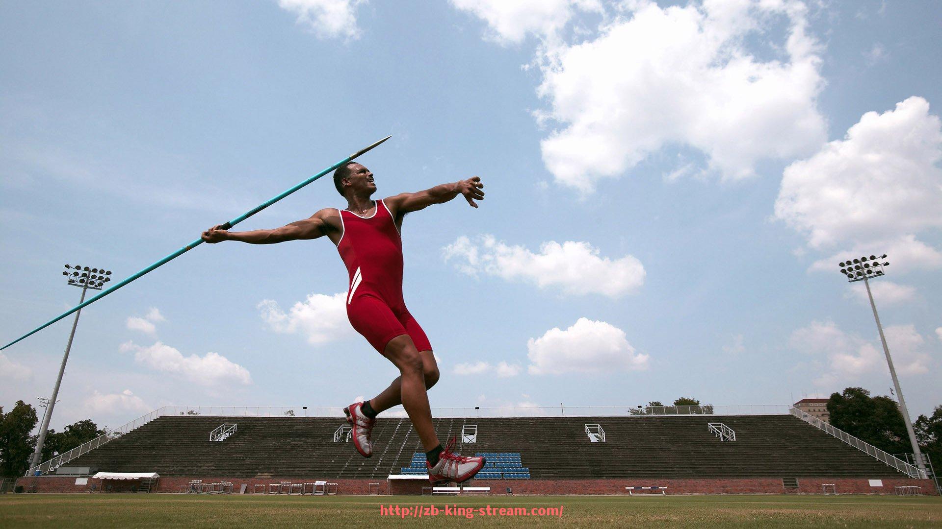 王者体育直播-健身器材批发销售门店推荐与进货策略分析